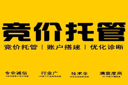 SEM代运营案例：打造高效广告投放方案